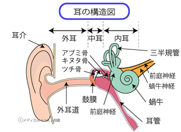 が 痛い 耳