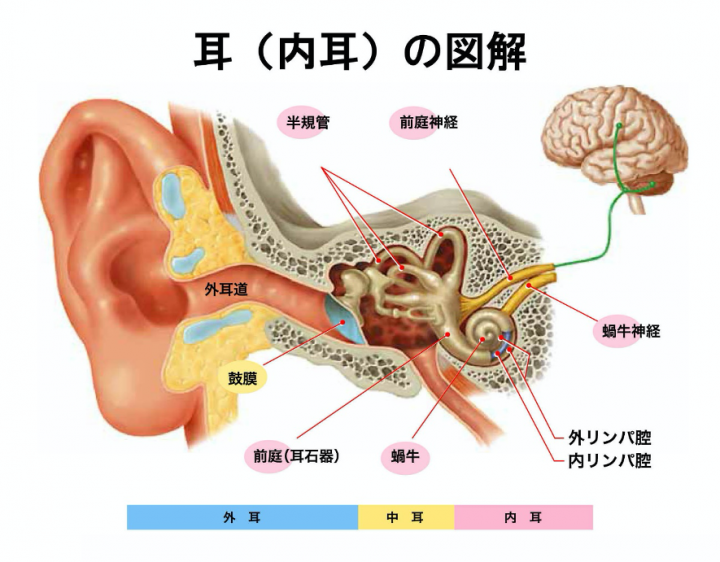 耳 管 開放 症 難病 指定
