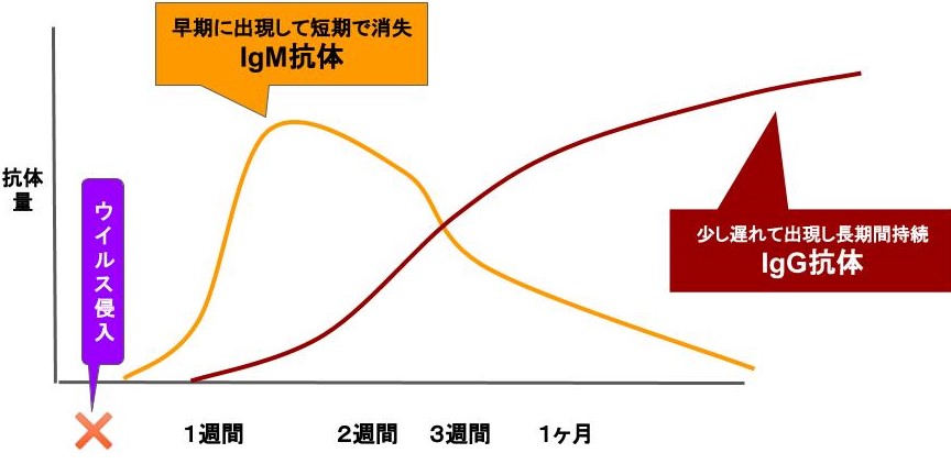 板橋 区 pcr 検査 できる 病院